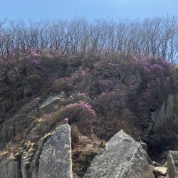 Эксперт рассказала, что нужно знать об этом популярном декоративном растении #8