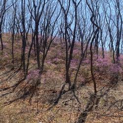 Эксперт рассказала, что нужно знать об этом популярном декоративном растении #9