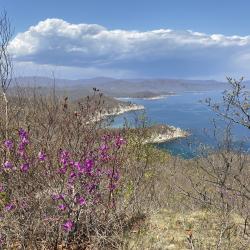 Эксперт рассказала, что нужно знать об этом популярном декоративном растении #11