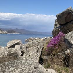 Эксперт рассказала, что нужно знать об этом популярном декоративном растении #12