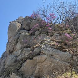 Эксперт рассказала, что нужно знать об этом популярном декоративном растении #13