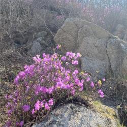 Эксперт рассказала, что нужно знать об этом популярном декоративном растении #14