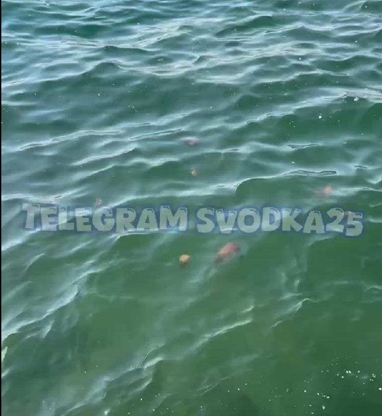 Снимок экрана 2025-05-12 105033.jpg