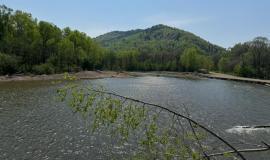IMG_4071.jpeg