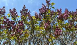 WhatsApp Image 2025-05-18 at 09.45.19.jpeg