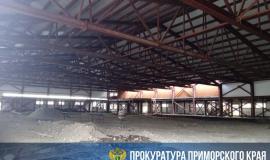 IMG_4321.jpeg