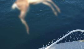 IMG_4360.jpeg IMG_4360.jpeg