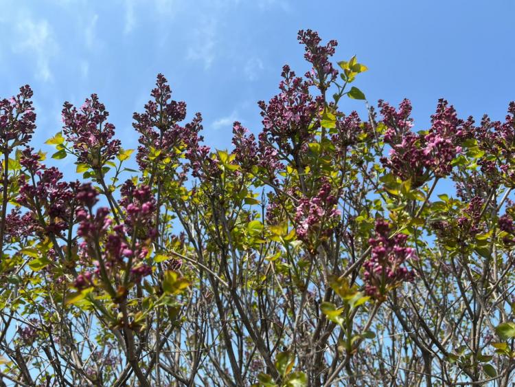 WhatsApp Image 2025-05-18 at 09.45.19 (2).jpeg