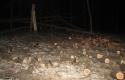Horol._Nezakonnaya_rubka_derevev_(4)-800x600.jpg