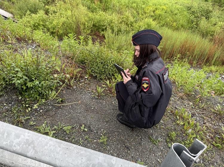 5330132248189596614 (1).jpg