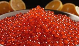IMG_5586.jpeg