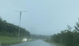 IMG_6351.jpeg