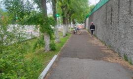 c47a9c13-8371-40dc-9430-6fa757dd5fe3.jpeg