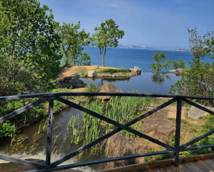 пейзаж русский.jpg