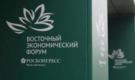 IMG_6558.jpeg