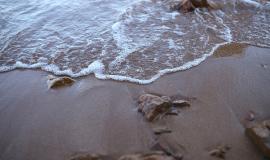 IMG_6919.jpeg