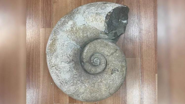 photo_2025-07-08_18-34-41 copy.jpg