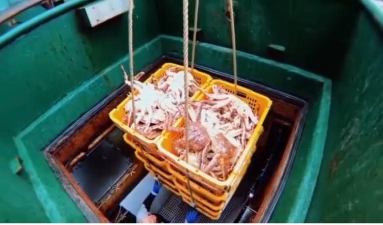 2025-07-17 09.24.29.jpg