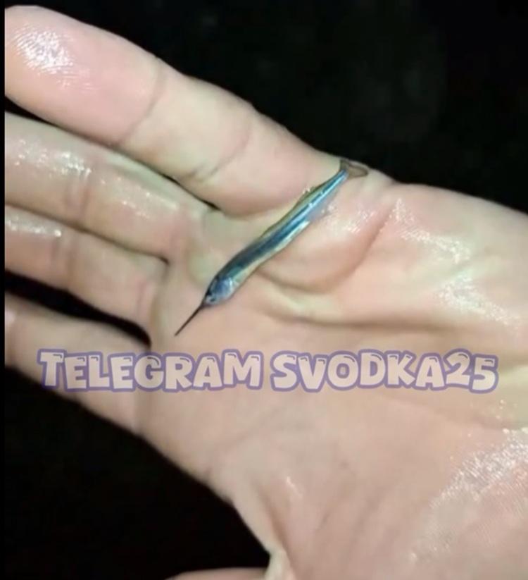 Снимок экрана 2025-07-24 112037.jpg