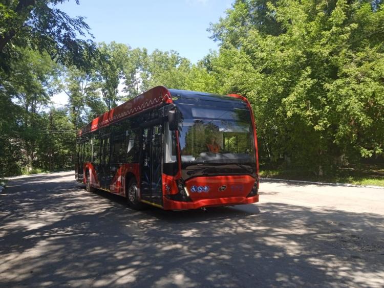 WhatsApp Image 2025-07-28 at 11.52.39.jpeg