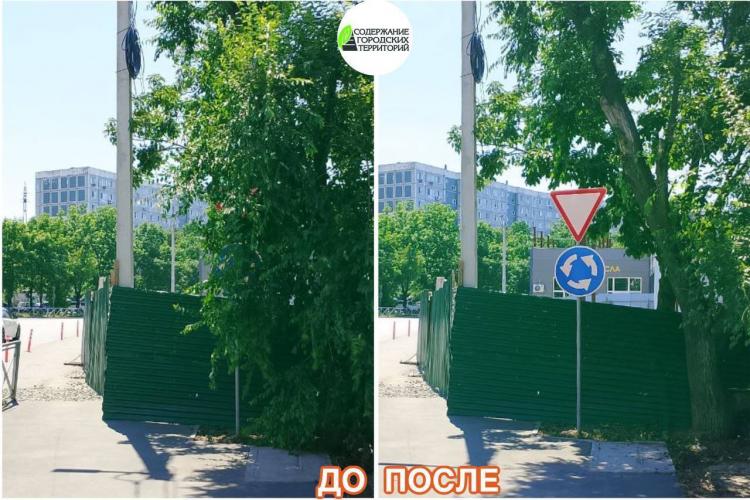 2025-07-29 09.55.57.jpg