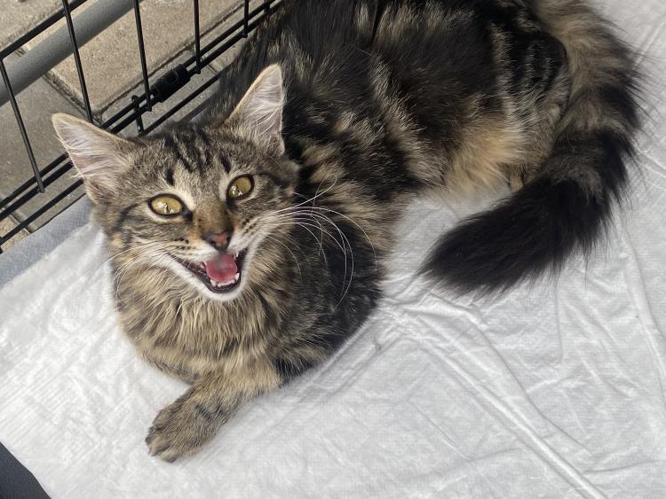 fddc9de3c8a9697c809dc6659da20ce289a35209 (1).jpeg