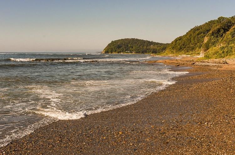 thumb_547077_news_xxxl (1).jpeg