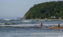 thumb_547180_news_xxxl (1).jpeg