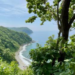 Особое внимание при реализации проекта уделяется сохранению хрупкой экосистемы побережья #7