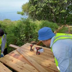 Особое внимание при реализации проекта уделяется сохранению хрупкой экосистемы побережья #15