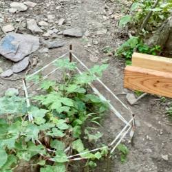 Особое внимание при реализации проекта уделяется сохранению хрупкой экосистемы побережья #18