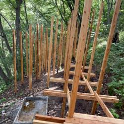 Особое внимание при реализации проекта уделяется сохранению хрупкой экосистемы побережья #20