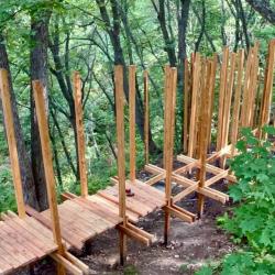 Особое внимание при реализации проекта уделяется сохранению хрупкой экосистемы побережья #22