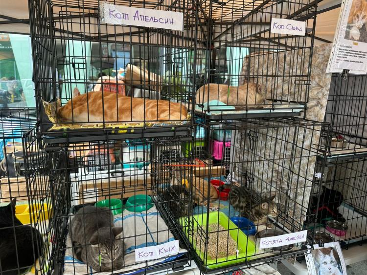 WhatsApp Image 2025-08-25 at 09.31.05.jpeg