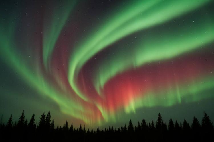 photo_2025-08-26_11-27-42 (2).jpg