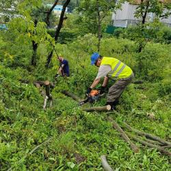 Коммунальные службы перешли в режим усиленной работы, чтобы ликвидировать последствия непогоды #7