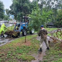 Коммунальные службы перешли в режим усиленной работы, чтобы ликвидировать последствия непогоды #8