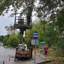 Коммунальные службы перешли в режим усиленной работы, чтобы ликвидировать последствия непогоды #9