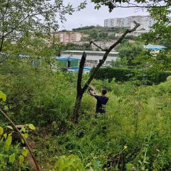 Коммунальные службы перешли в режим усиленной работы, чтобы ликвидировать последствия непогоды #12