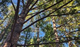 1000097786-01 (1).jpg