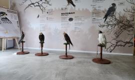 WhatsApp Image 2025-09-03 at 12.13.57.jpeg