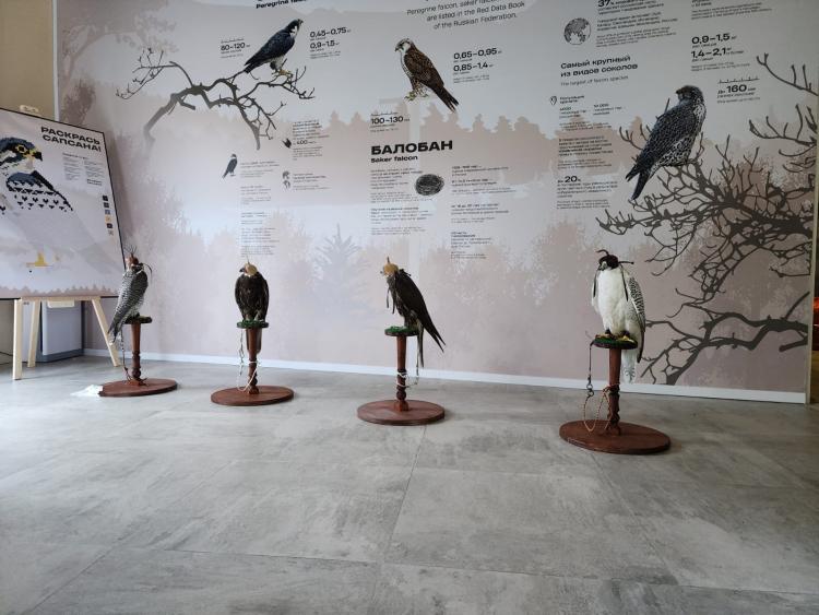 WhatsApp Image 2025-09-03 at 12.13.57.jpeg