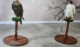 WhatsApp Image 2025-09-03 at 12.13.59.jpeg