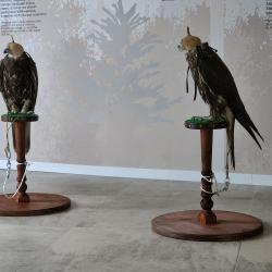 "Улица Дальнего Востока" открылась на острове Русский #2