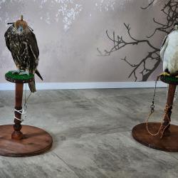 "Улица Дальнего Востока" открылась на острове Русский #3