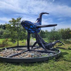 "Улица Дальнего Востока" открылась на острове Русский #25