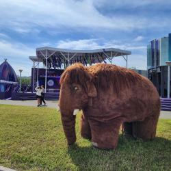 "Улица Дальнего Востока" открылась на острове Русский #38