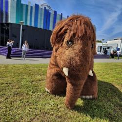 "Улица Дальнего Востока" открылась на острове Русский #39