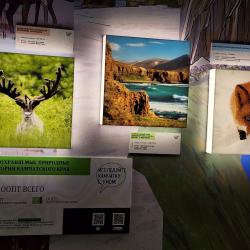 Что транслирует Камчатский край - в фоторепортаже РИА VladNews #5