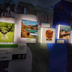 Что транслирует Камчатский край - в фоторепортаже РИА VladNews #8